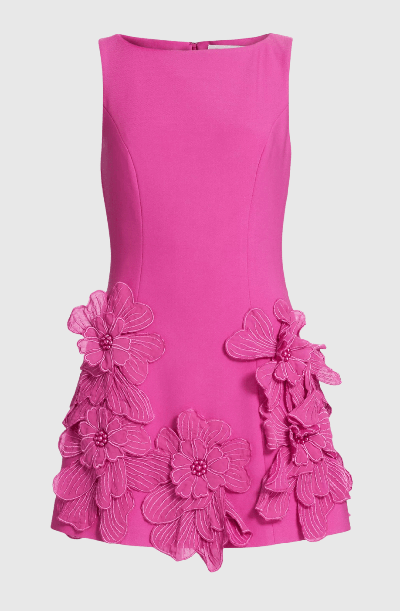 Adalgisa Çiçek Desenli Appliqué Mini Elbise - Pembe - Phentora