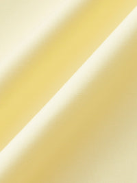 Buttoned Lantern Sleeve Kemerli Elbise - Phentora
