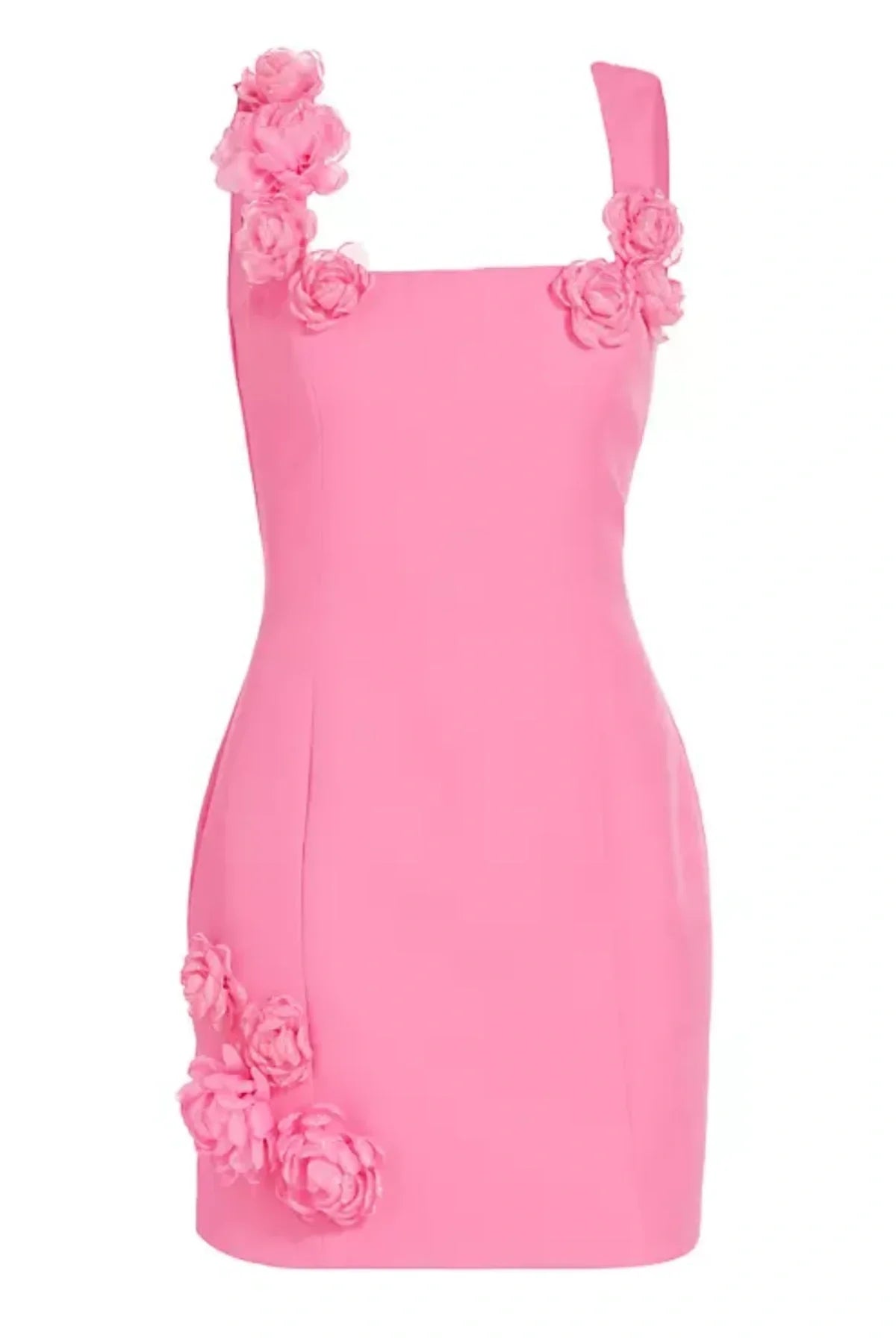 Dilanne Çiçek Desenli Appliqué Mini Elbise - Pembe - Phentora