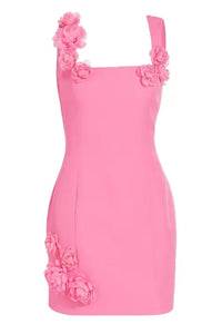Dilanne Çiçek Desenli Appliqué Mini Elbise - Pembe - Phentora