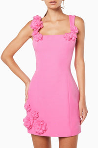 Dilanne Çiçek Desenli Appliqué Mini Elbise - Pembe - Phentora