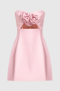 Sara Rose Straplez Pencere Detaylı Mini Elbise - Pembe - Phentora