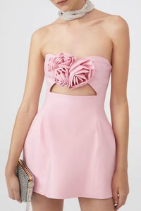 Sara Rose Straplez Pencere Detaylı Mini Elbise - Pembe - Phentora